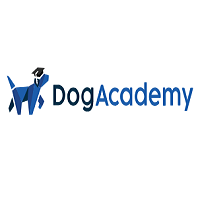 Dog Academy