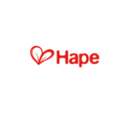  Hape Toys